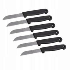 Set 6 cutite de bucatarie, Otel inoxidabil/Plastic, lama 7.5 cm, maner 9.5 cm