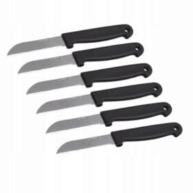 Set 6 cutite de bucatarie, Otel inoxidabil/Plastic, lama 7.5 cm, maner 9.5 cm