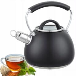 Ceainic cu fluier, inox, 2.5 L, negru/argintiu