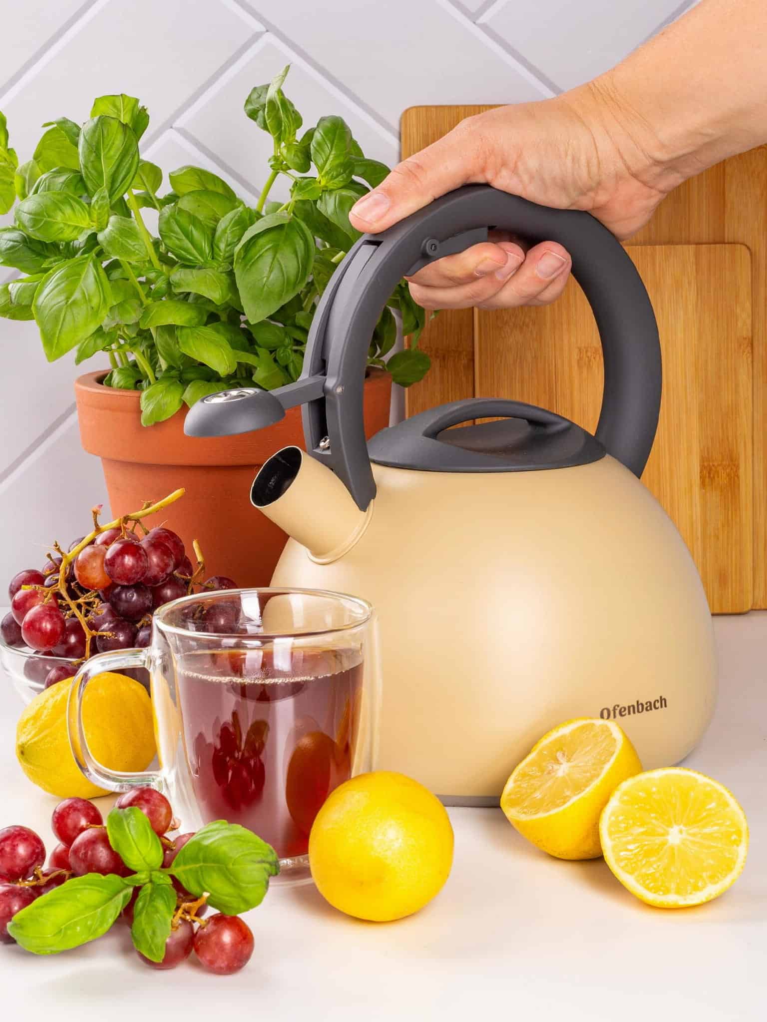 Ceainic Tradițional simplu cu fluier automat, 2,7 L - imagine 3