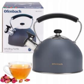 Ceainic modern cu Fluier Emaliat 2.2L