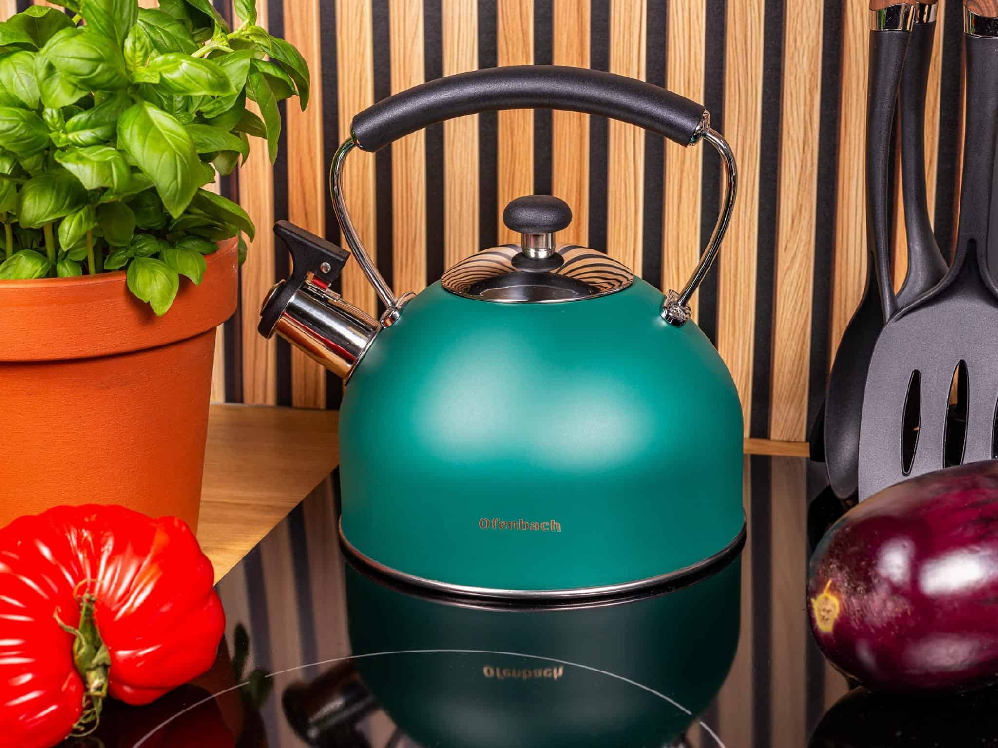 Ceainic modern cu Fluier Emaliat 2.2L Verde - imagine 4