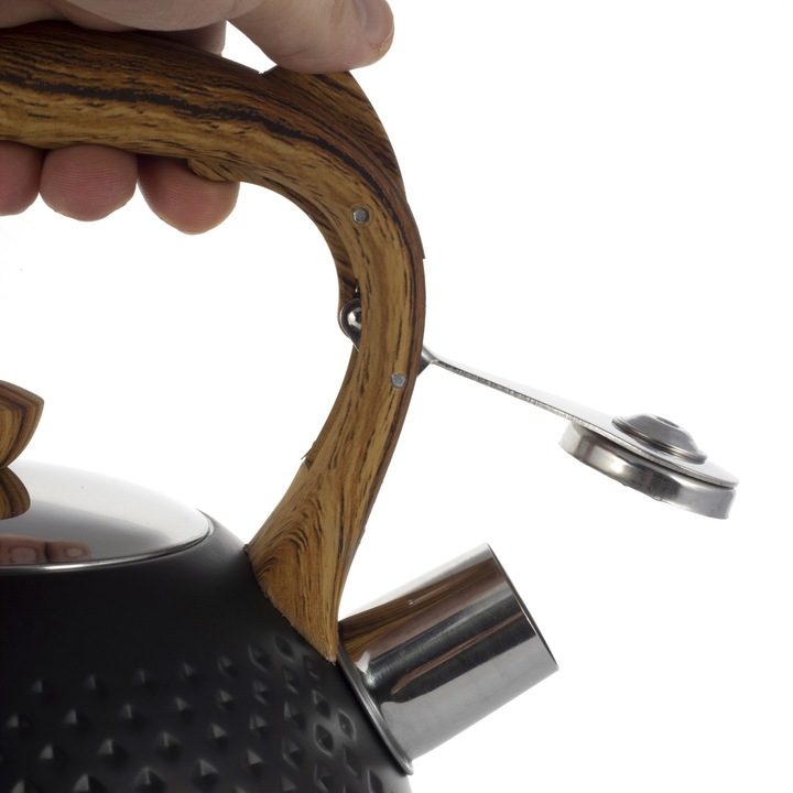 Ceainic cu Fluier Kamille 2.7L din inox negru cu fluier - imagine 5